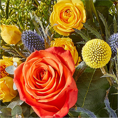 Disco Bouquet –  Moda Flowers, Guaynabo PR