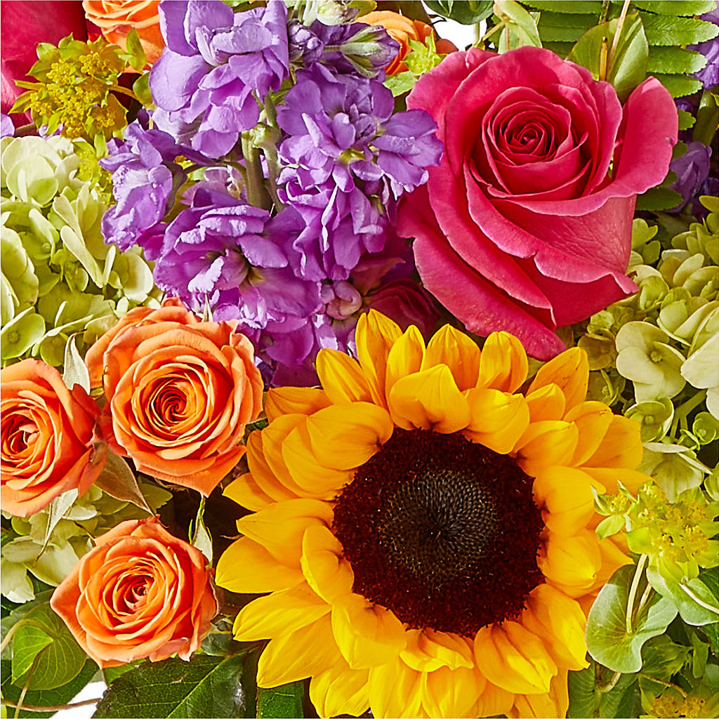 Vibrant Greetings Bouquet –  Moda Flowers, Guaynabo PR