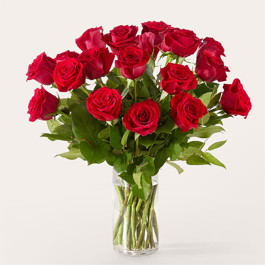 The One Red Rose Bouquet –  Moda Flowers, Guaynabo PR