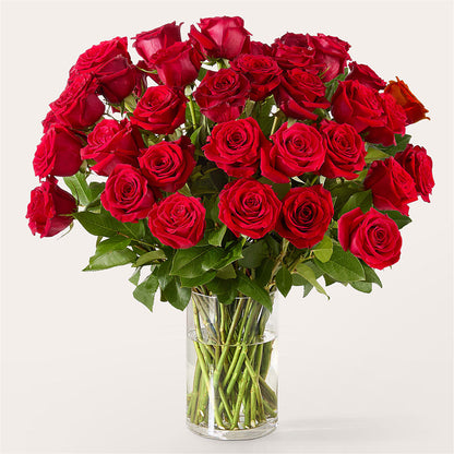 The One Red Rose Bouquet –  Moda Flowers, Guaynabo PR