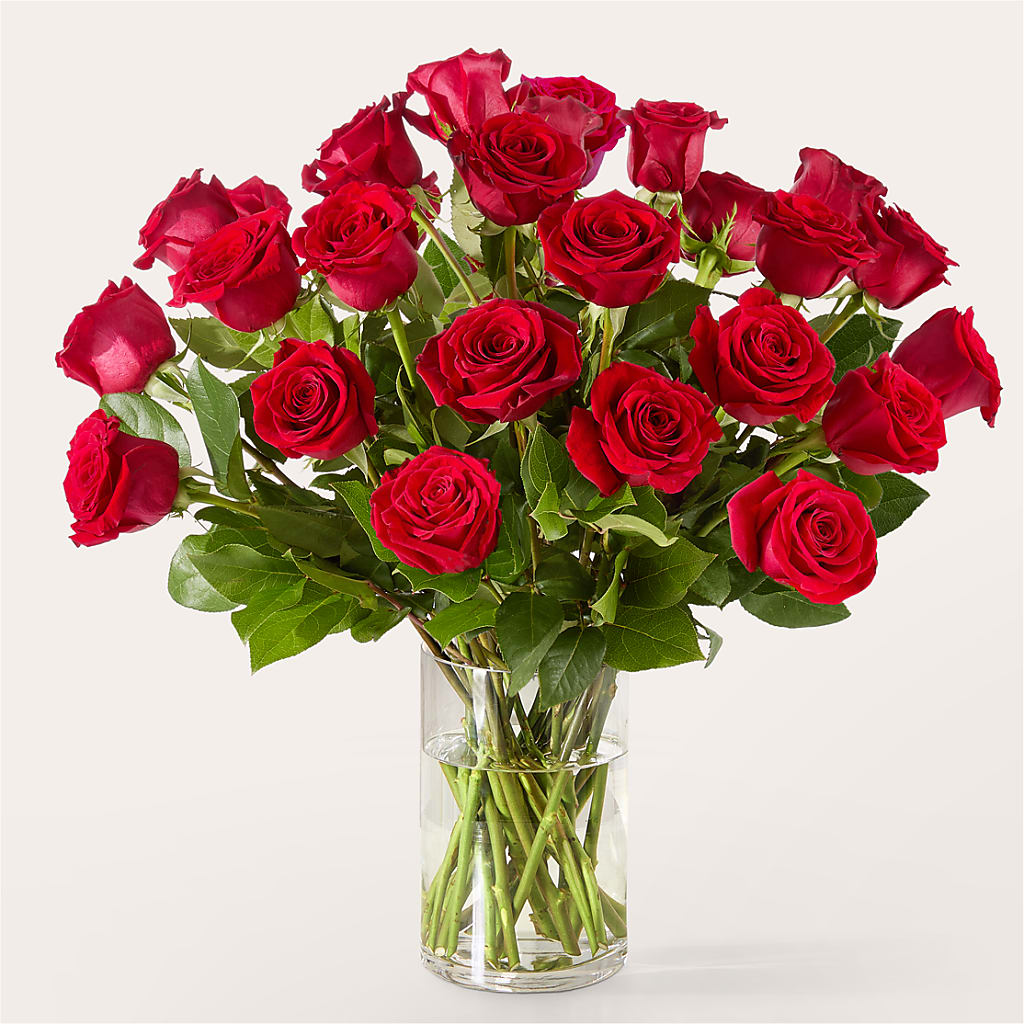 The One Red Rose Bouquet –  Moda Flowers, Guaynabo PR