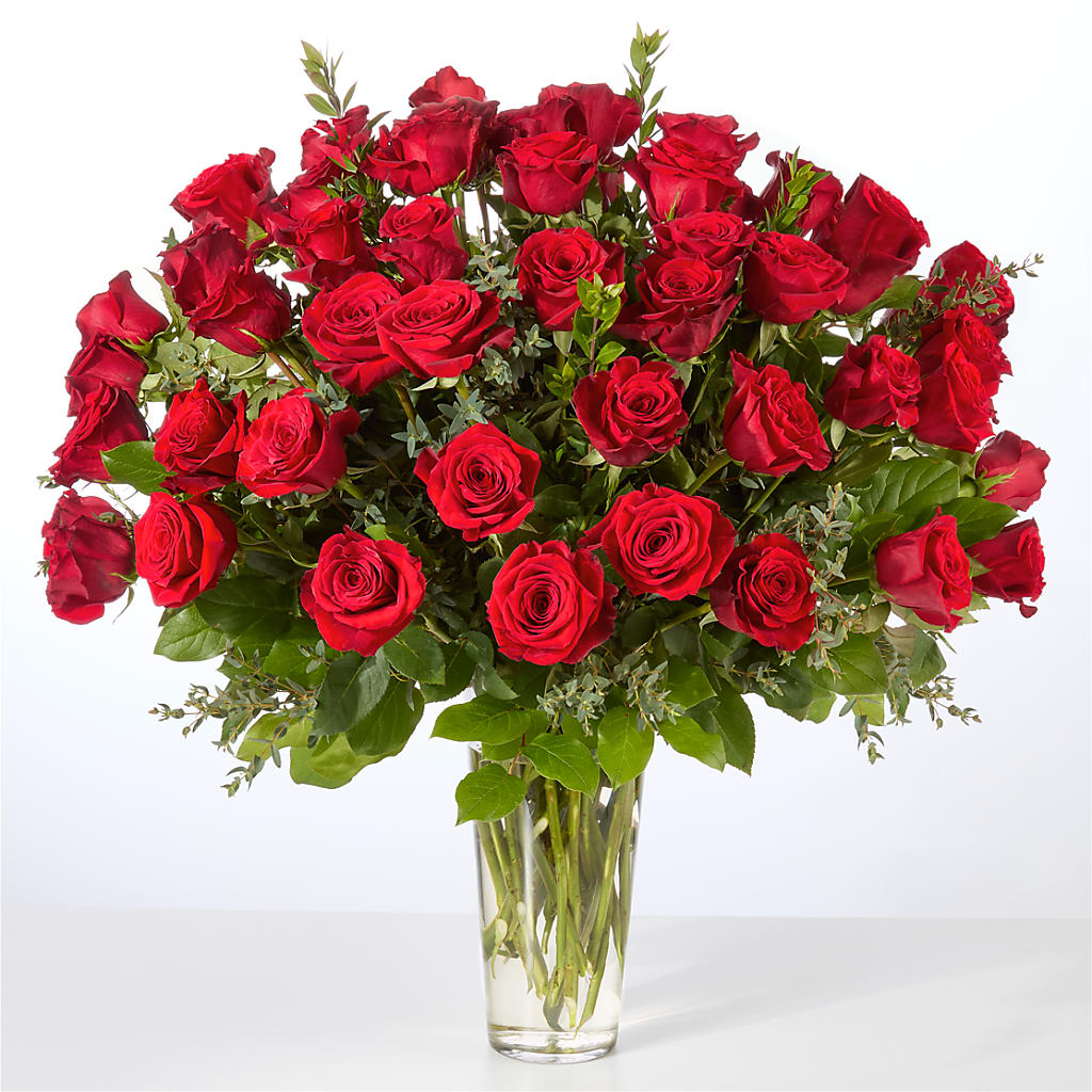 Forever Yours Fifty Stem Red Rose Bouquet –  Moda Flowers, Guaynabo PR