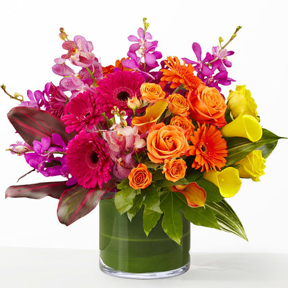 The Mosaic –  Moda Flowers, Guaynabo PR