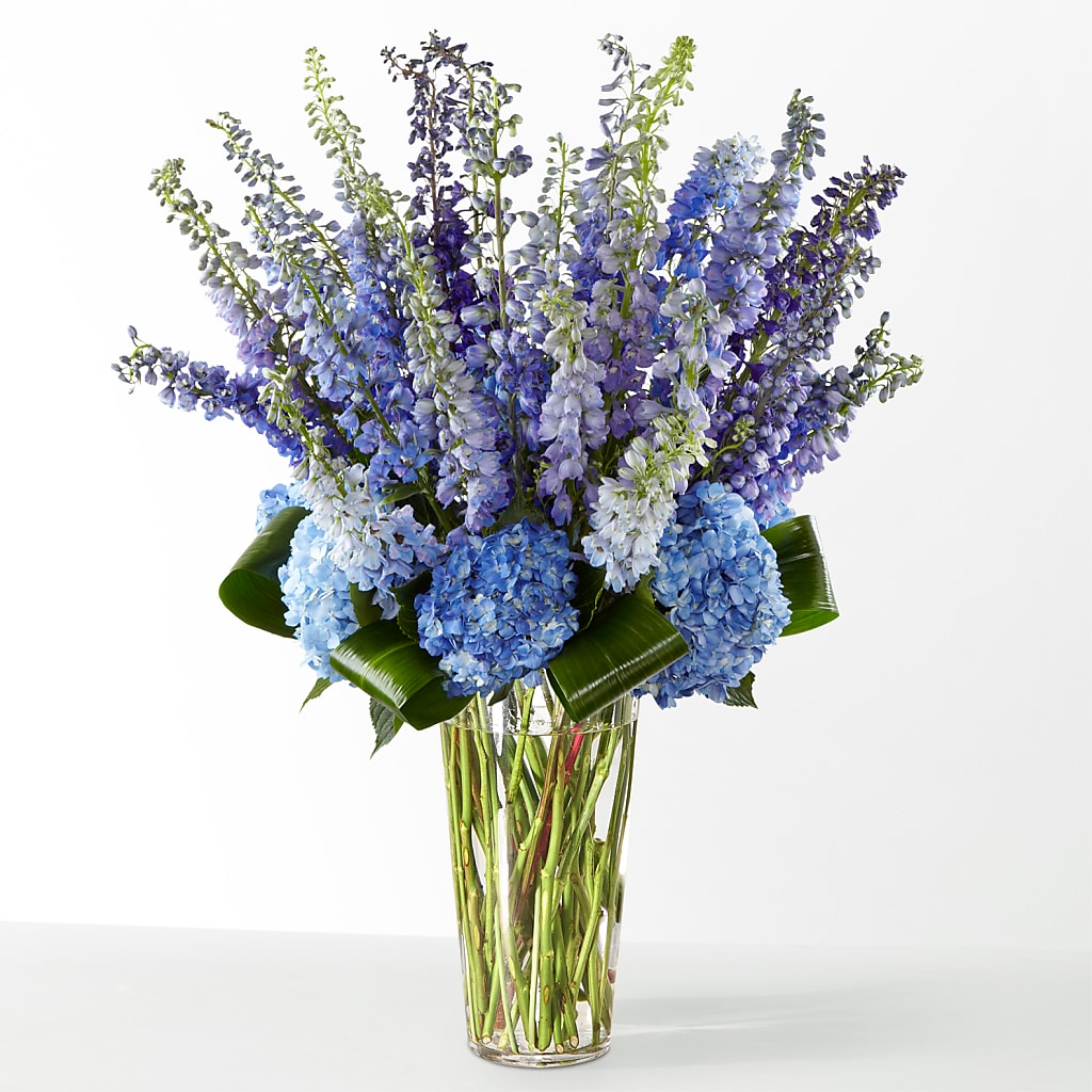 The Editorial –  Moda Flowers, Guaynabo PR