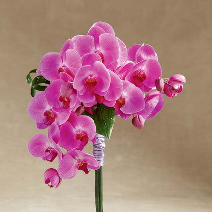 Glorious Bouquet –  Moda Flowers, Guaynabo PR